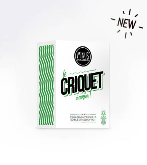 criquet_new